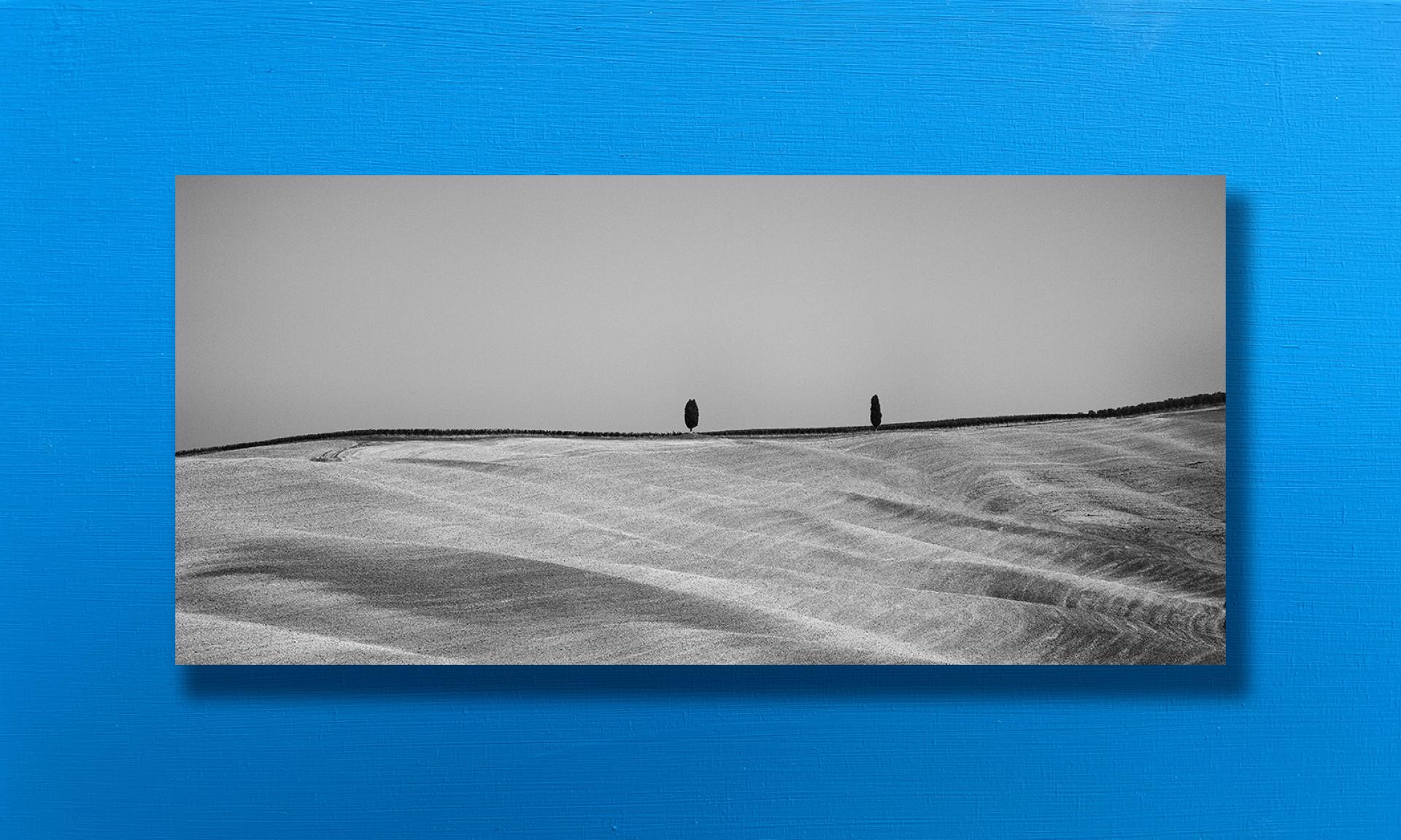 CYPRESSES - Bleu - Fotografia FineArt